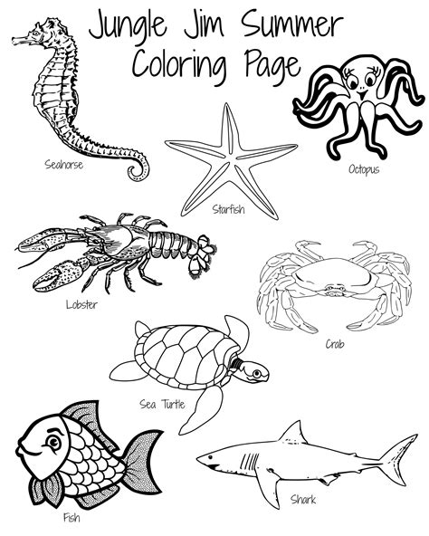 Ocean Animals Color Pages