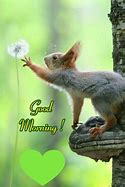 Image result for Good Morning with Animals
