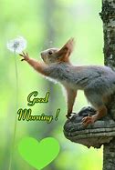 Image result for Cute Good Morning Squirrel