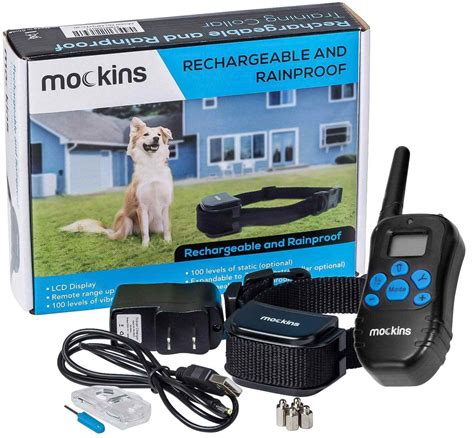 The 6 Best Dog Training Collars of 2020