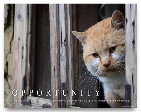 Kitten Motivational Poster Work Motivational Cat Posters: Art, Prints
