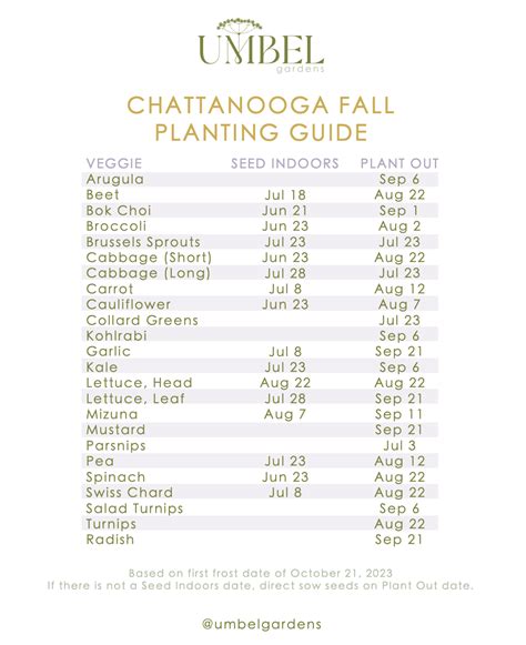 Chattanooga Fall Gardening Guide — Umbel Gardens - Kitchen Gardens ...