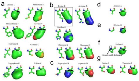 Entropy-Enthalpy Compensations Fold Proteins | Encyclopedia MDPI