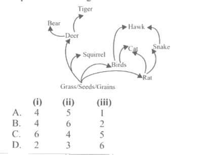 How many number of (i) primary consumers, (ii) secondary con-sumers and ...