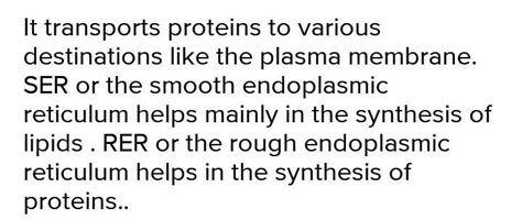 write the function of SER and RER - Brainly.in