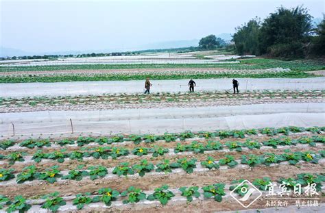 浙江湖州：春分将至农事忙-人民图片网
