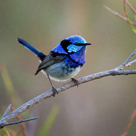 Spiritual Meaning of Number 5 - Wisdom Of The Spirit