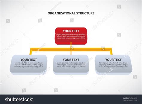 Corporation Structure 的图像结果
