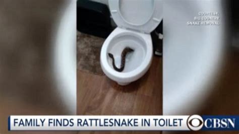 Image result for Modeling Paste Craft Ideas