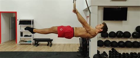 Image result for Front Lever Muscles