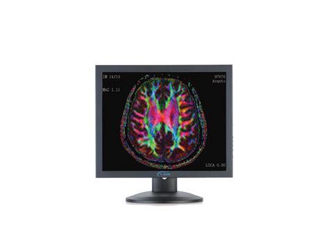 Image result for Red Color Monitor