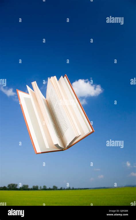 Image result for Foldable Flight Book