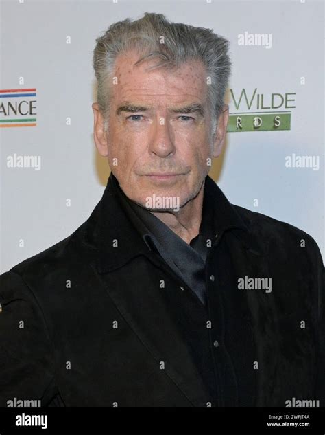Pierce brosnan 2024 hi-res stock photography and images - Alamy