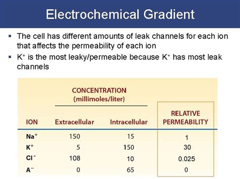Image result for Electroconcentration Gradient