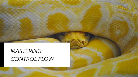 Image result for If Elif Else Python Control Flow