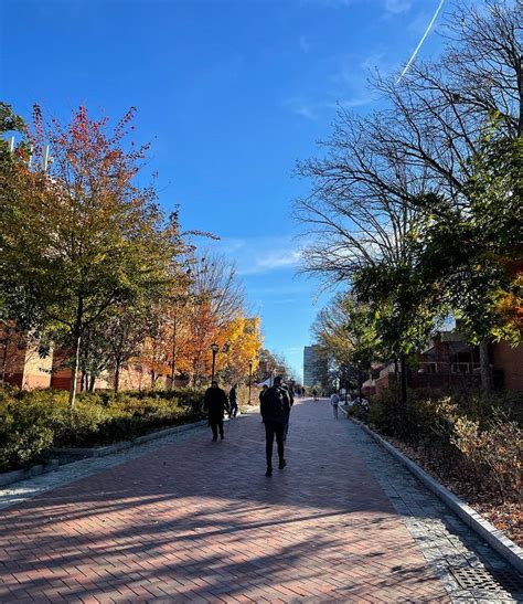 GA Tech Computer Science 的图像结果