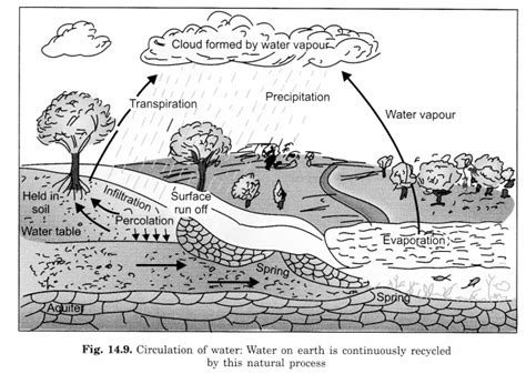 Class 6 Science Water Chapter PDF 的图像结果