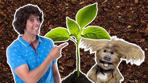 Image result for Get Set Grow CBeebies