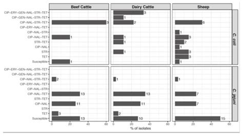 Occurrence of Campylobacter jejuni and Campylobacter coli in Cattle and ...