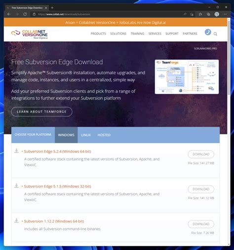 CollabNet Subversion Features 的图像结果