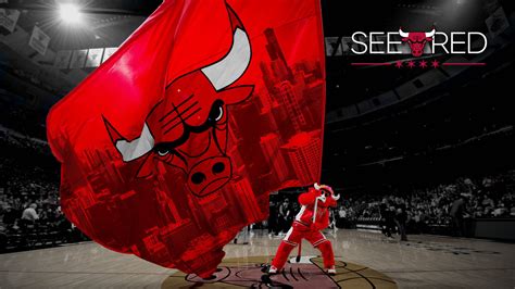 Download Benny the Bull, Passionate Mascot of Chicago Bulls Wallpaper ...