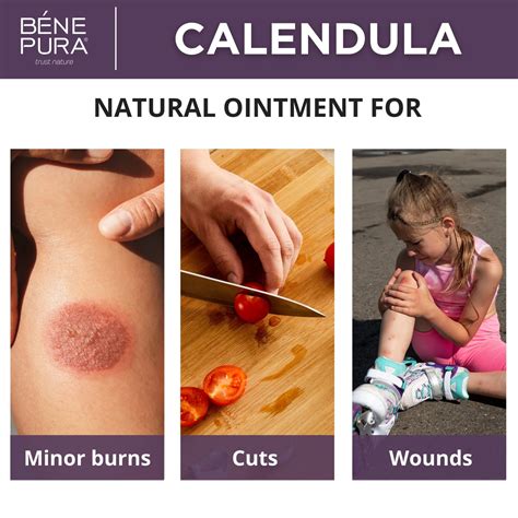 ᐉ Ointment for Wounds, Burns and Scars with Calendula - 40ml - Benepura.com