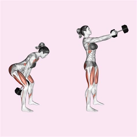 9 Lower Back Dumbbell Exercises (Must Add To Your Routine)