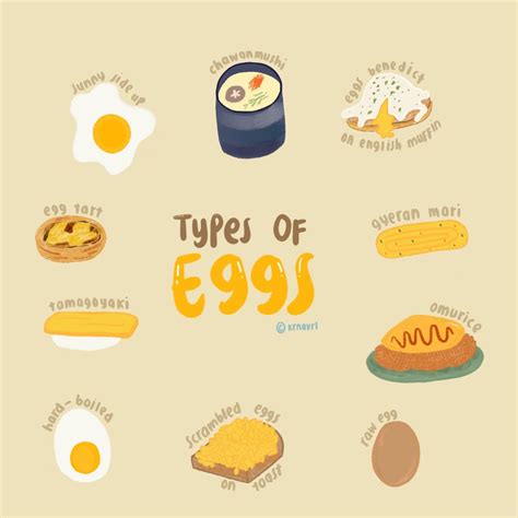 Types of Eggs Cartoon Illustration