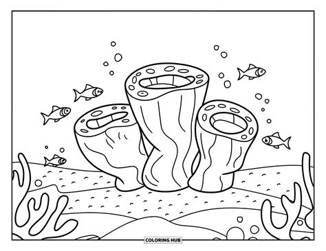 Coral Reef Coloring