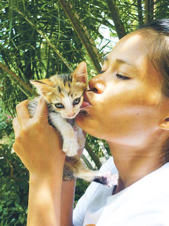 Find out about the amazing work this local dog and cat rescue ...