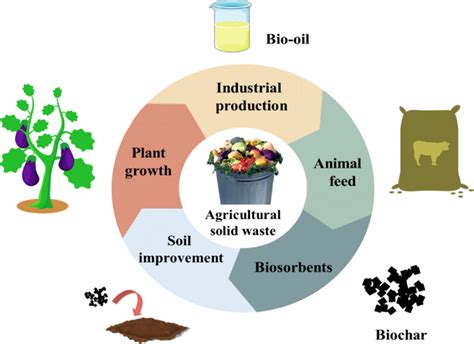 How Amazon and IIT Roorkee are converting farm waste into recyclable packaging - About Amazon India