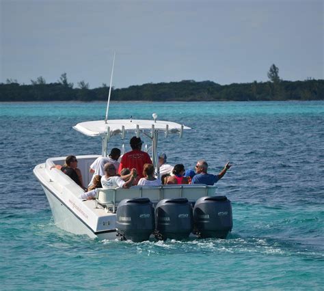 HIGH SEAS EXCURSIONS (2026) All You Need to Know BEFORE You Go (with ...