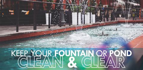 Keeping Your Fountain or Pond Clean and Clear | Pond cleaning, Pond, Fountain