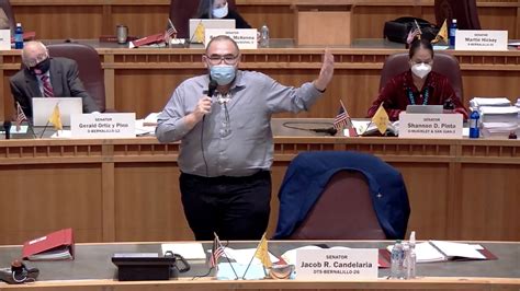 Senate rams through gerrymandered legislative maps, House passes ...