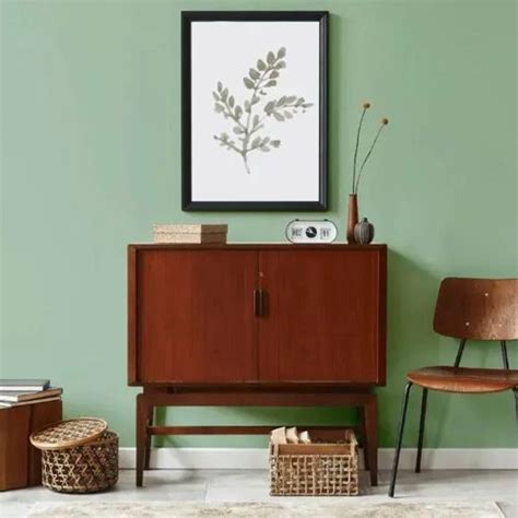 Mid-tone green NCS paint colors reviews
