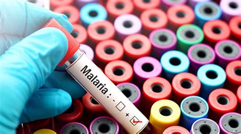 Delhi: 75 malaria, 43 dengue cases reported this season
