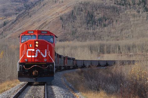 CN freight train hauling grain cargo derails near Fort Frances - CityNews