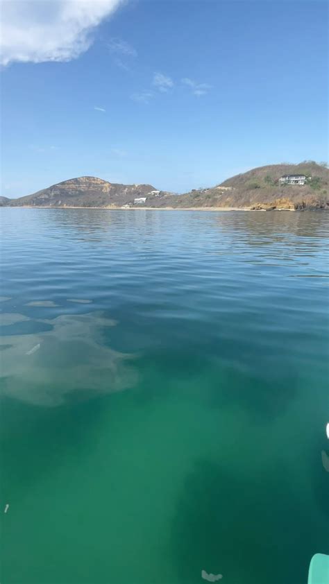 Choise Gsurf (@choise_surflessons) • Instagram photos and videos