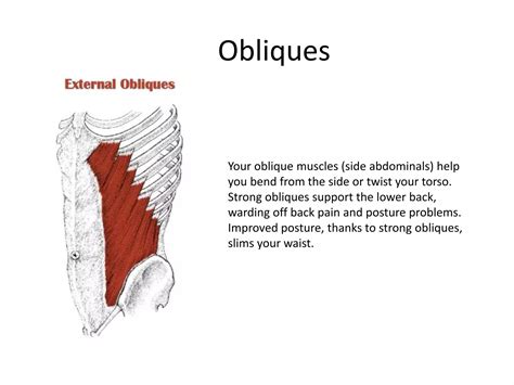 Obliques | PPTX