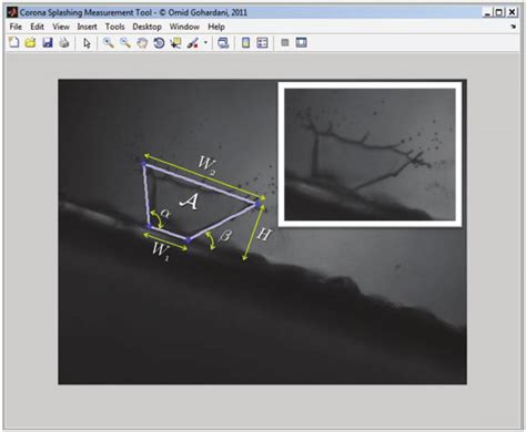 MATLAB Coronavirus 的图像结果