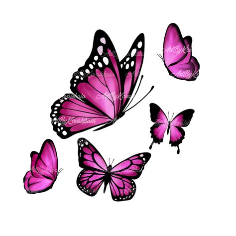 Butterfly png butterflies clipart digital download – Artofit