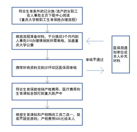 北京市生育门诊报销网上报盘流程（产前检查费用报盘）_软件_dat_发票