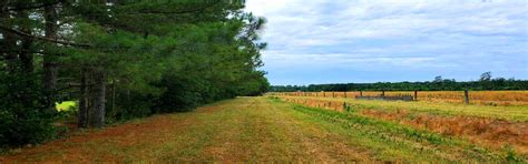 Land for Sale in Corbett | Jim Corbett Property Dealer