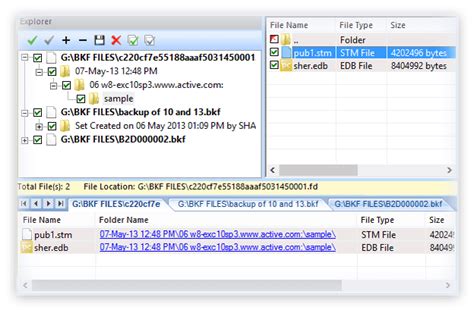 Open BKF File 的图像结果