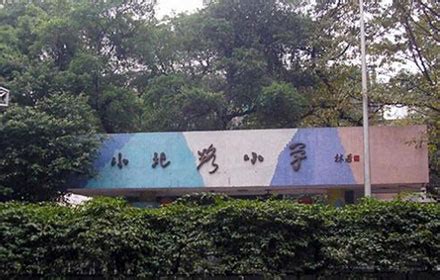 广州学位房：广州省一级小学汇总——学霸是怎样炼成的-广州二手房_房天下