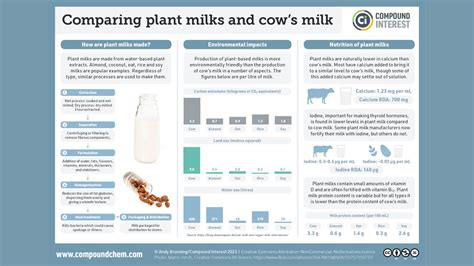 Cow's milk vs. plant-based milk: Which is better for you? - Interesting Engineering
