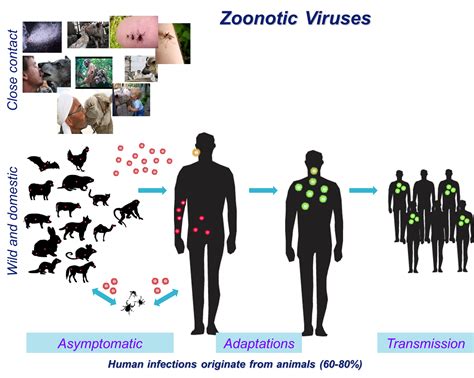 Dr. V Stalin Raj - Research Areas | IISER Thiruvananthapuram, MoE, Govt ...