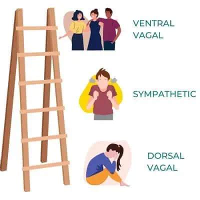 Image result for Autonomic Ladder