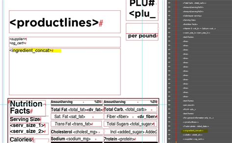 Image result for Text Frame InDesign