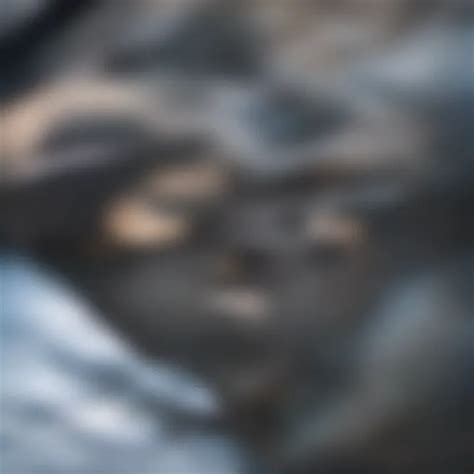 Graph Theory 的图像结果